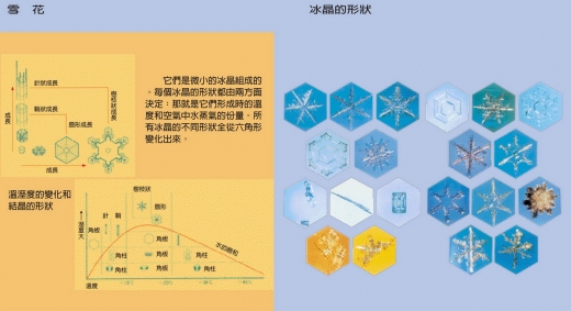 這是一張說明雪花和冰晶的圖，圖中呈現了雪花和冰晶放大後的形狀，所有冰晶的不同形狀全從六角形變化出來。
